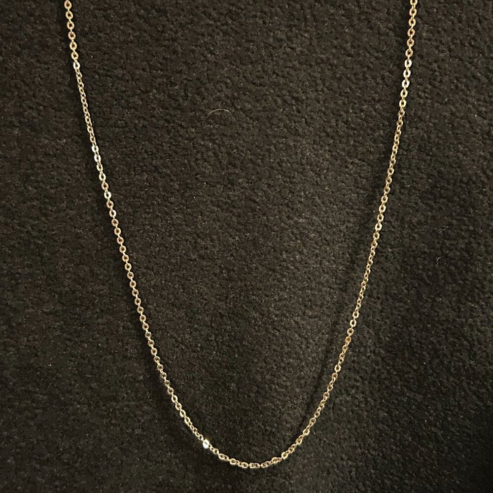 Long Rolo Chain Necklace
